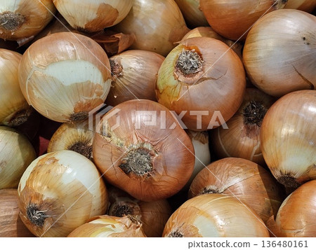 onion onion 136480161