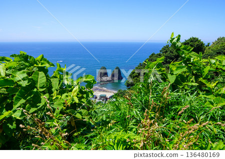 Taking two of the Sanshon cedar from the Osaka mountain observatory 136480169