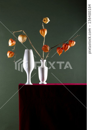 A branch of physalis in a white vase on a green background A branch of physalis in a white vase on a green background 136480184