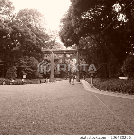 The shrine approach and large torii gate give you a sense of tranquility in the heart of the city 136480296