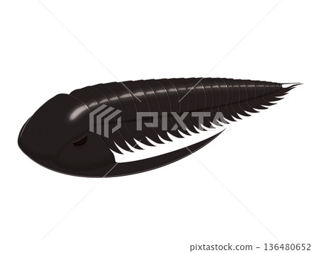 寒武紀三葉蟲擬異蟲的寫實插圖 136480652