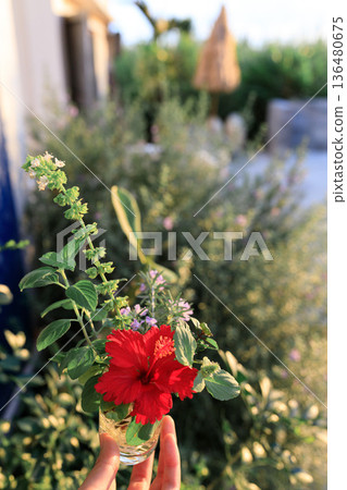 Enjoying a tropical life with a single hibiscus in a vase Enjoying a tropical life with a single hibiscus in a vase 136480675