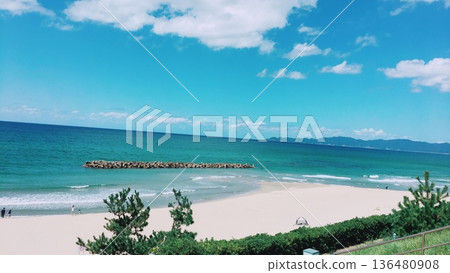海 136480908