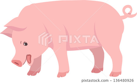 Cute pink pig illustration showing a farm animal standing outdoors 136480926