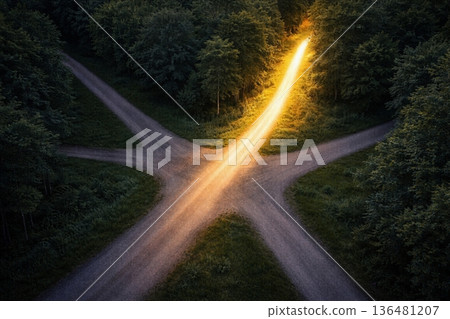 森林岔口的燈光小徑 136481207