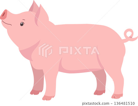 Cute piglet cartoon farm animal standing side view pink pig Cute piglet cartoon farm animal standing side view pink pig 136481510