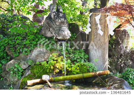 Matsudo Shrine: Dragon God and Holy Water (Matsudo City, Chiba Prefecture) Matsudo Shrine: Dragon God and Holy Water (Matsudo City, Chiba Prefecture) 136481645