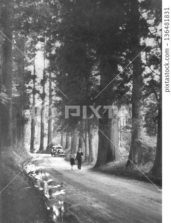 Old photo 1953-1954 Cedar avenue along the old Motohakone road 136481831