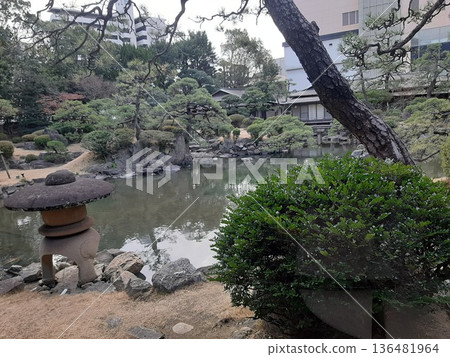 綠色花園中的美麗花園 綠色花園中的美麗花園 136481964