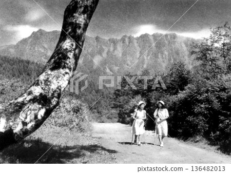 老照片，1953-1954年，長野縣戶隱高原的健行小徑 136482013