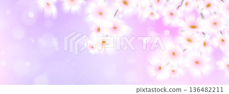 Spring background, gradient blur of sakura flowers Spring background, gradient blur of sakura flowers 136482211