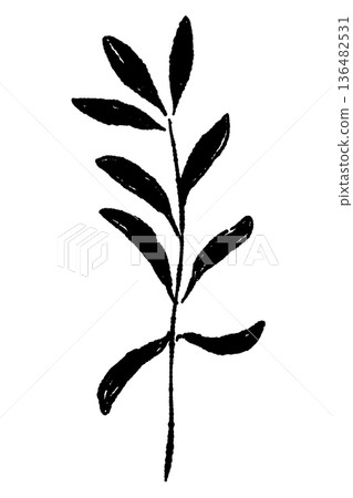 橄欖枝垂直生長的示意圖 136482531