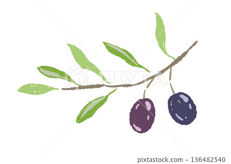 一幅描繪黑色橄欖枝的插圖。素材取自成熟的果實和樹葉。 136482540