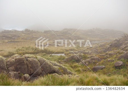 View of rocky mountain landscape in high altitude area of Itatiaia national park under fog. Rio de Janeiro, Brazil 136482634
