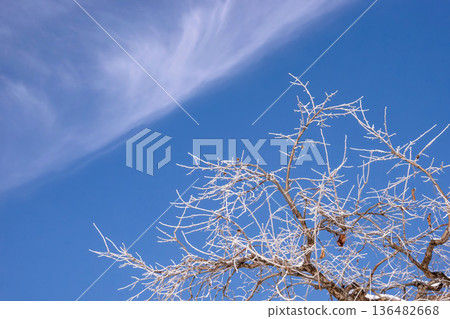 260210 Nyukawacho g004 136482668