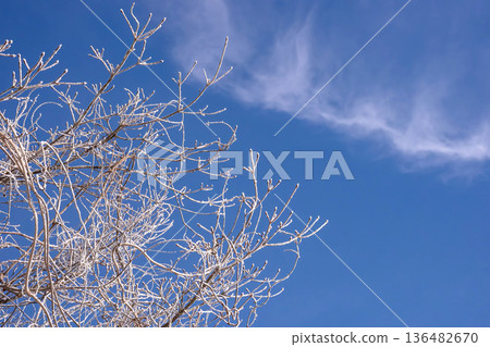 260210 Nyukawa Machikata g007 260210 Nyukawa Machikata g007 136482670