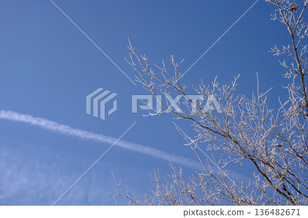 260210 Nyukawa Machikata g012 136482671