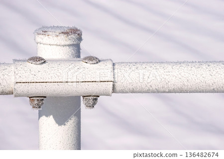 260210 Nyukawacho g024 136482674