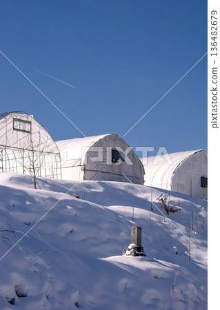 260210 Nyukawa Machikata g036 136482679