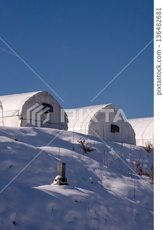 260210 Nyukawa Machikata g038 260210 Nyukawa Machikata g038 136482681