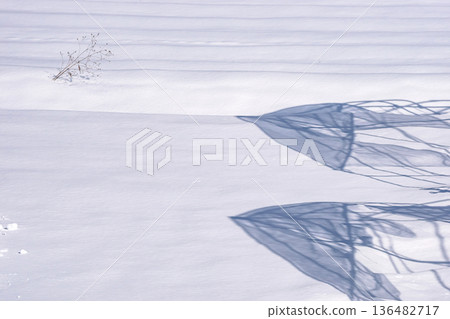 260210 入川町方 g127 136482717