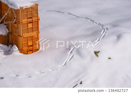 260210 Nyukawa Machikata g159 260210 Nyukawa Machikata g159 136482727