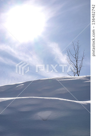 260210 Nyukawacho direction g182 260210 Nyukawacho direction g182 136482742