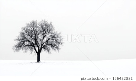 tree in snow 136482881