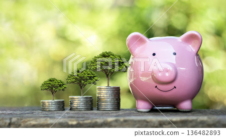 Financial growth and sustainable investment concept with trees growing on coins. Financial growth and sustainable investment concept with trees growing on coins. 136482893