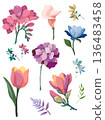 set of flowers and leaves 136483458