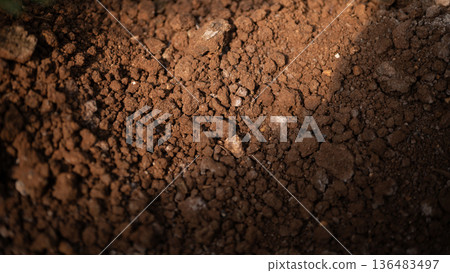 Textured fertile soil as background 136483497