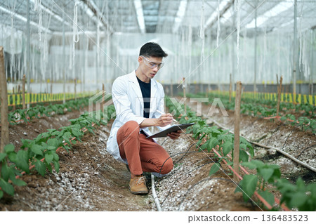 Researchers man holding paper chart checking the progress and growth of plants. 136483523