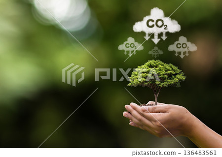 composite image of hand presenting 136483561