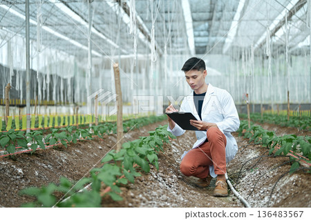 Researchers man holding paper chart checking the progress and growth of plants. Researchers man holding paper chart checking the progress and growth of plants. 136483567