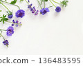 Blue flower frame 136483595