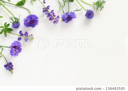 Blue flower frame Blue flower frame 136483595
