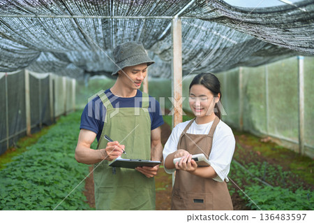 A senior farmer teaching a young grower to calculate crop income inside a greenhouse 136483597