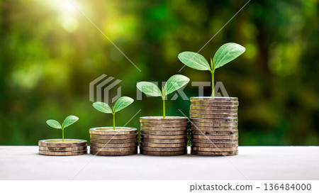 Plants grow on a pile of coins; the concept of saving money, finance, and investment. Plants grow on a pile of coins; the concept of saving money, finance, and investment. 136484000