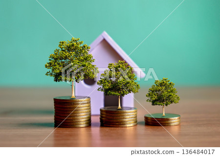 Money tree growing on a gold coin. Financial growth and business development concept 136484017