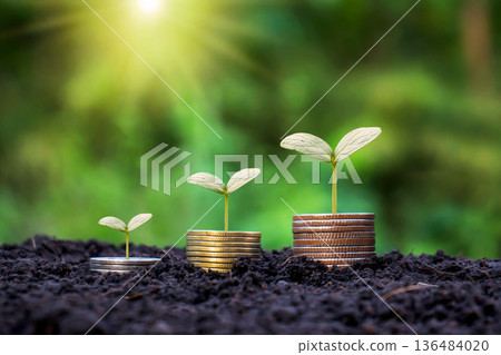 Growing money and plants on coins. Finance and investment concept. Growing money and plants on coins. Finance and investment concept. 136484020