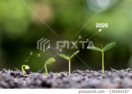 Sustainable business growth and long-term investment concept for 2026, featuring seedling stages of development with rising financial graph over natural green background. Sustainable business growth and long-term investment concept for 2026, featuring seedling stages of development with rising financial graph over natural green background. 136484287