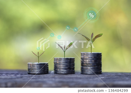 Sustainable financial growth concept with green plants growing on coin stacks, featuring rising percentage and dollar icons graph for investment success and long-term wealth management. Sustainable financial growth concept with green plants growing on coin stacks, featuring rising percentage and dollar icons graph for investment success and long-term wealth management. 136484299