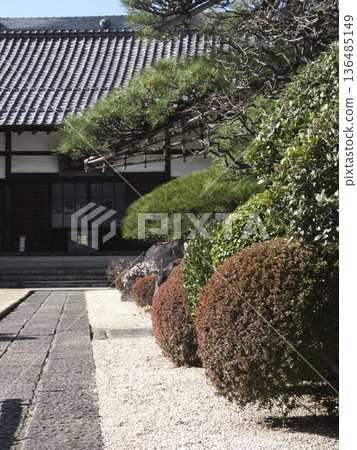 日本庭園景色,傳統的鵝卵石小徑和修剪精美的松樹。 日本庭園景色,傳統的鵝卵石小徑和修剪精美的松樹。 136485149