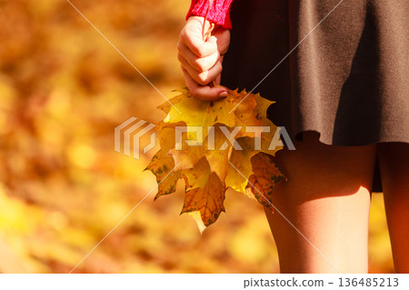 Sexy legs in the park. Sexy legs in the park. 136485213