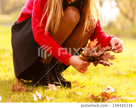 Woman in autumn park picking gold leaves 136485216
