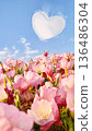 Bright pink flowers grow under a blue sky with a heart shape cloud floating above them during a sunny day in spring. Concept of love and health 136486304