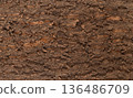 Rough natural tree bark texture background, detailed brown wood surface macro photography. 136486709