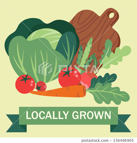 Simple organic vegetable poster for a farmers market. Salad set in a minimalist, hand-drawn, flat style. Healthy eating concept. Fresh produce. 136486905