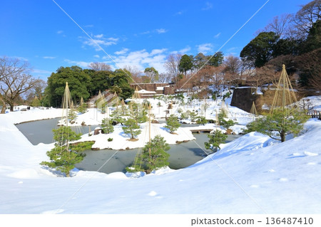 [石川縣]銀白色的金澤城和玉泉院丸庭園 136487410