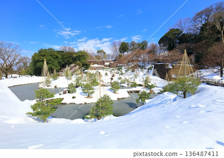 [石川縣]銀白色的金澤城和玉泉院丸庭園 136487411